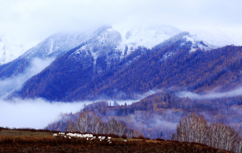 禾木：云韻成畫顯秋意